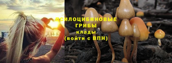 сатива Абинск