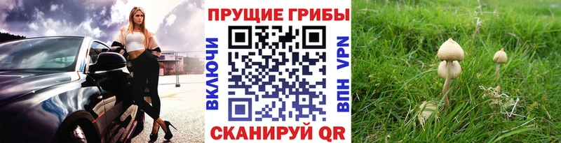 Псилоцибиновые грибы ЛСД  Егорьевск 