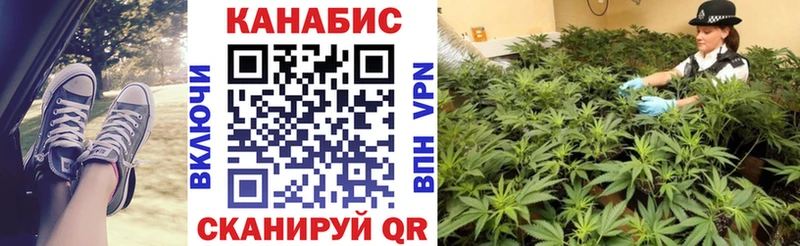 купить наркотики сайты  hydra онион  МАРИХУАНА SATIVA & INDICA  Егорьевск 